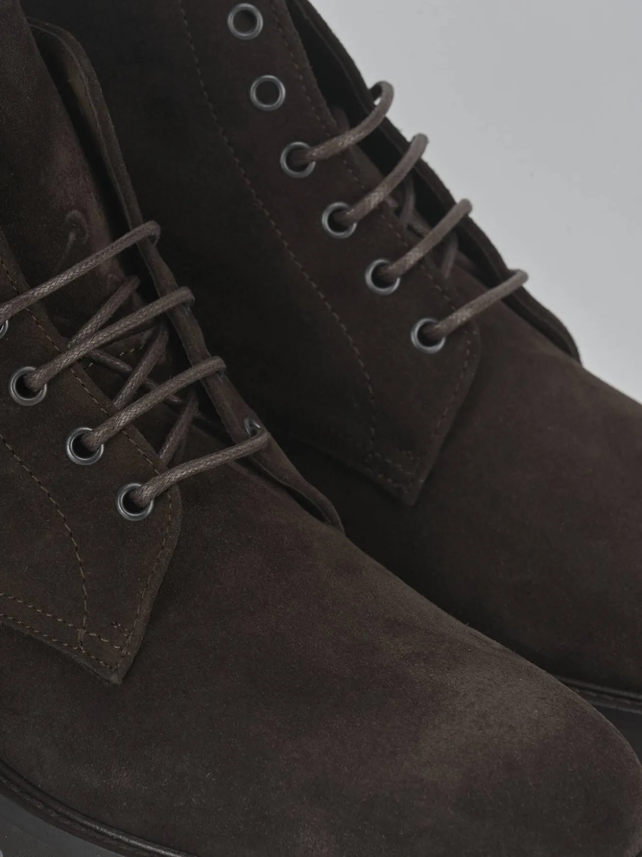 Anfibi camoscio testa