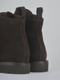 Anfibi camoscio testa