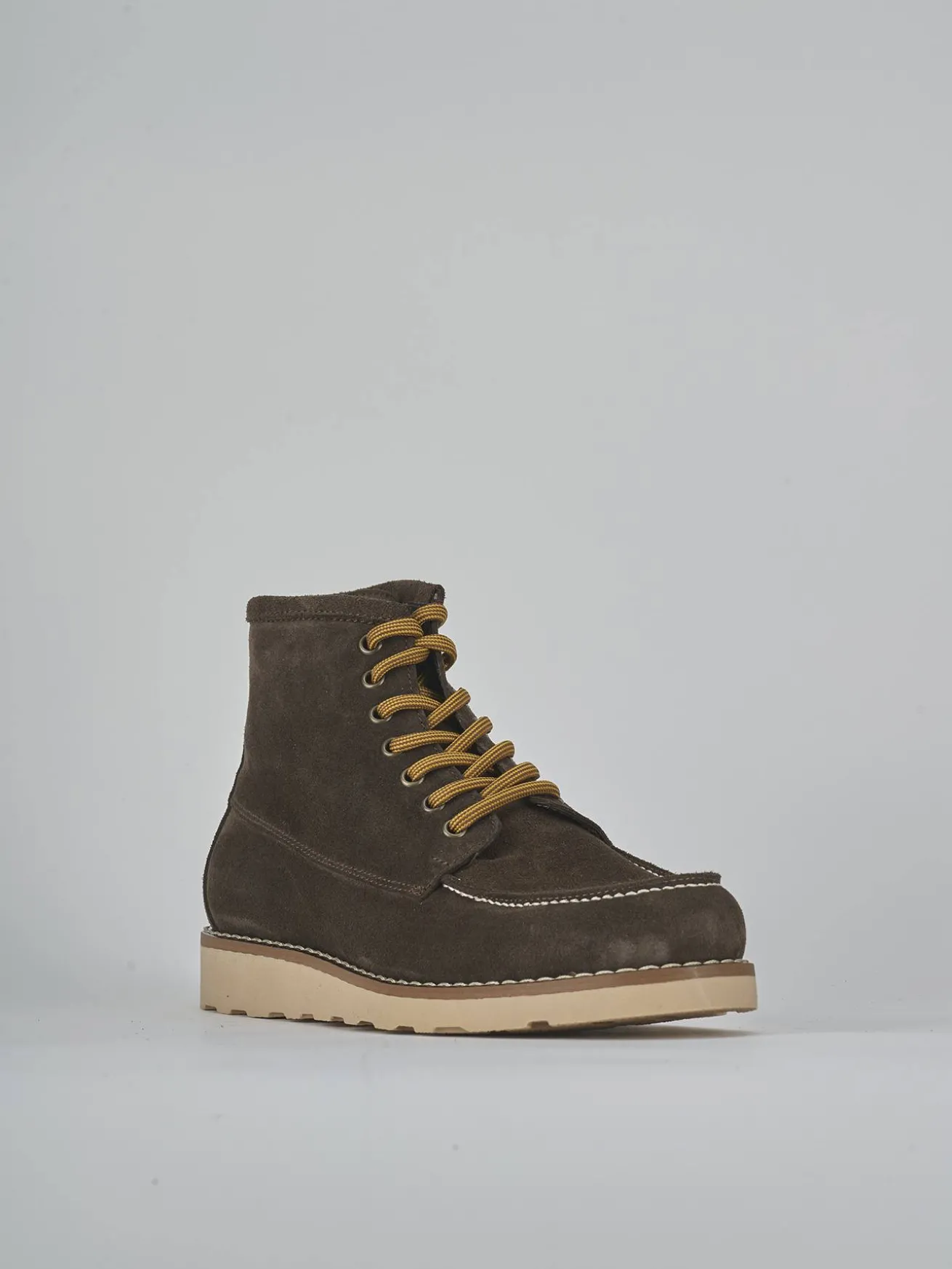 Anfibi camoscio testa