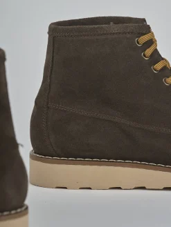 Anfibi camoscio testa