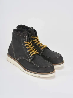 Anfibi camoscio testa