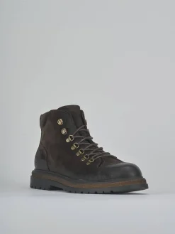 Anfibi camoscio testa