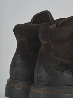 Anfibi camoscio testa