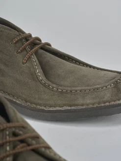 Anfibi camoscio testa