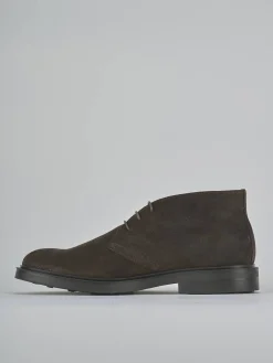 Anfibi camoscio testa