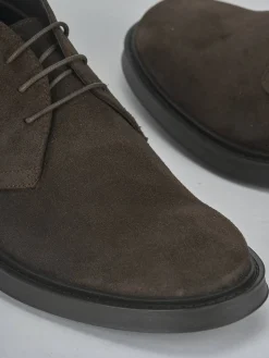 Anfibi camoscio testa