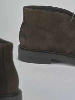 Anfibi camoscio testa