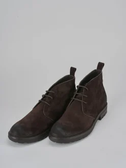 Anfibi camoscio testa