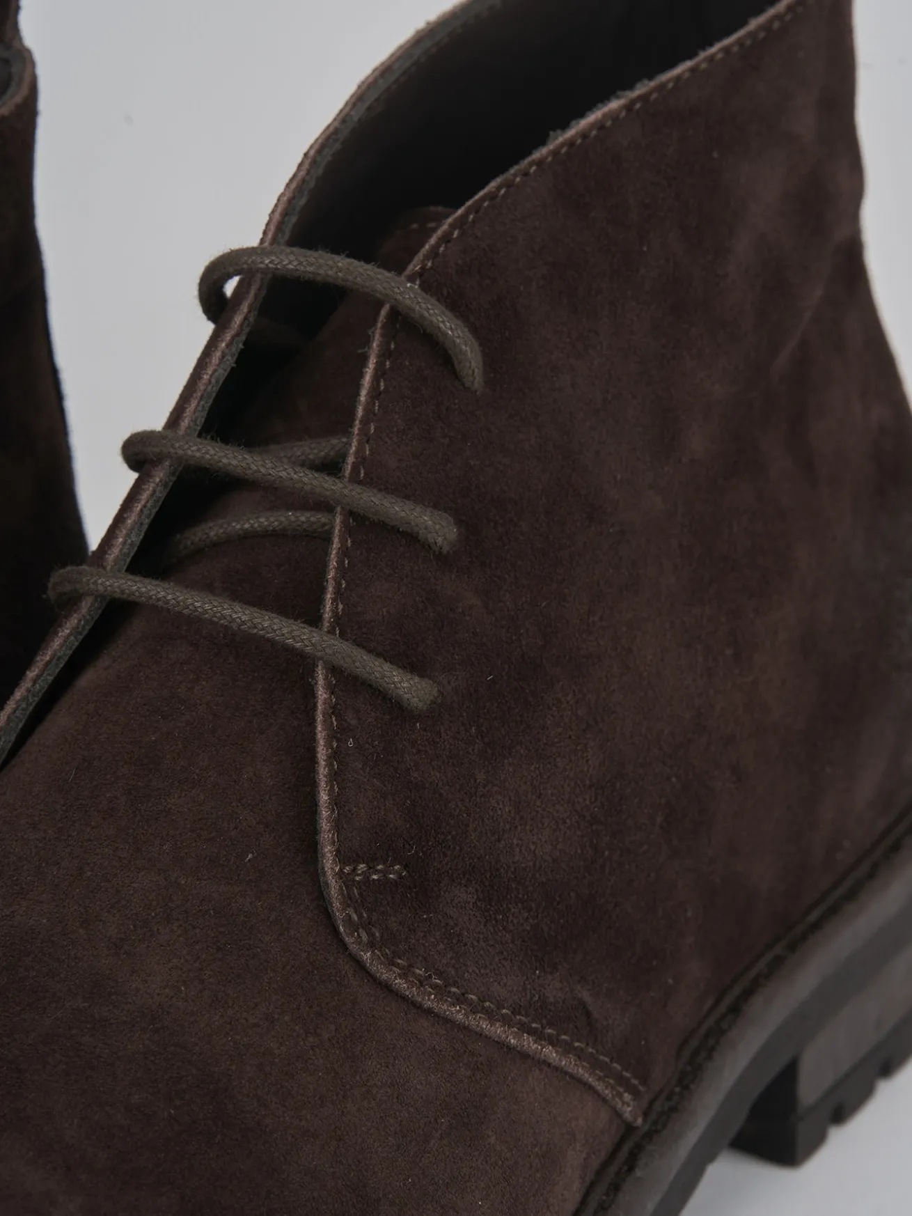 Anfibi camoscio testa