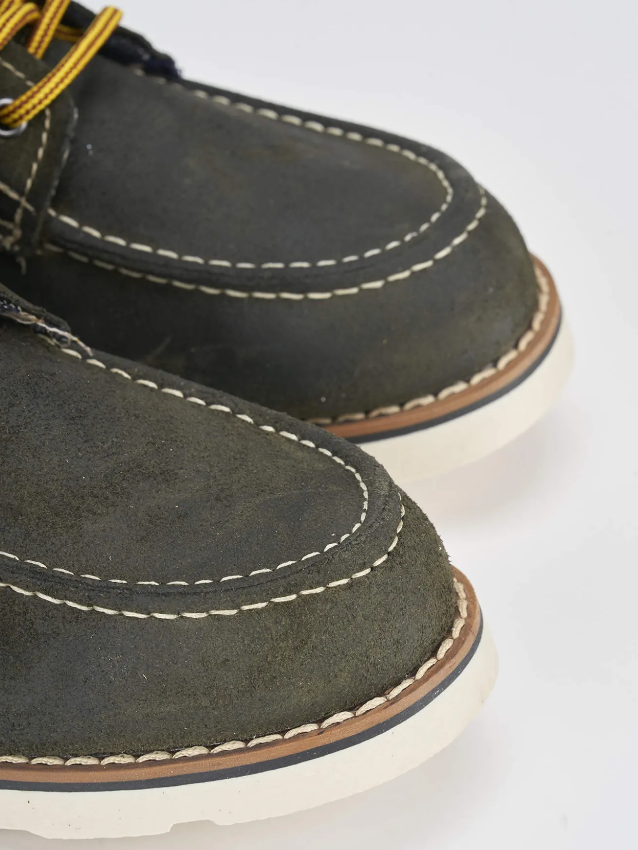 Anfibi camoscio verde