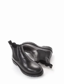 Beatles elastici vitello t20