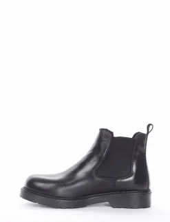 Beatles elastici vitello t20