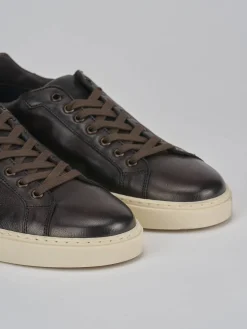 Sneakers pelle testa