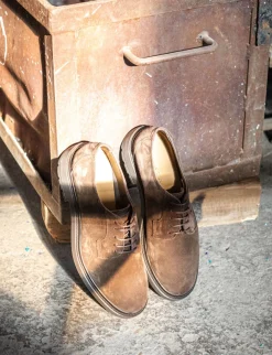 Stringate camoscio testa